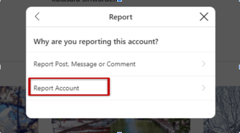 Report Account